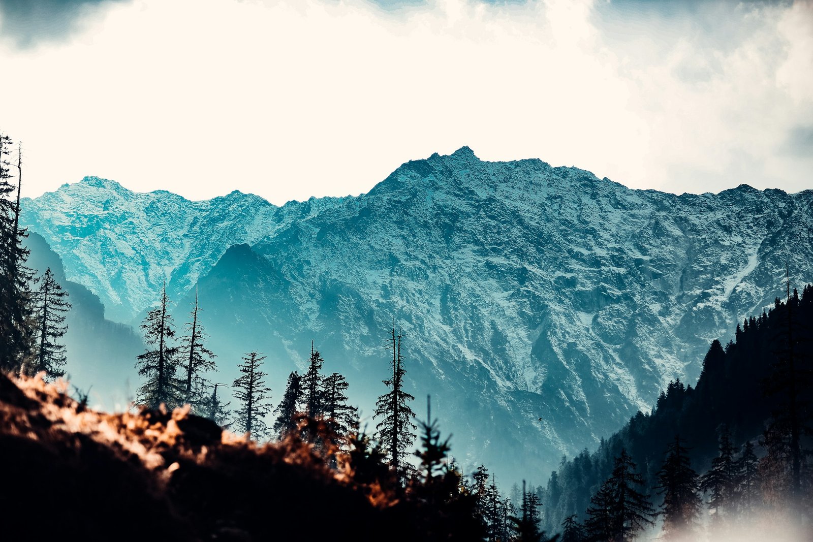 North India in One Loop: Manali, Shimla, Chandigarh & Amritsar